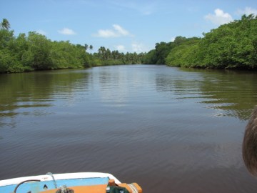 Rio Tatuamunha