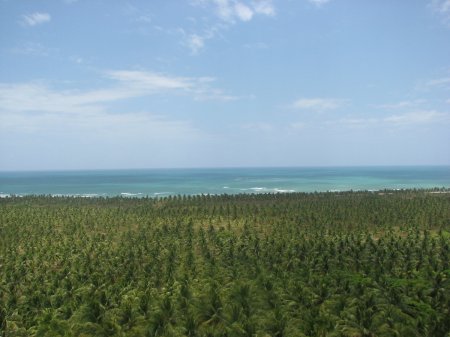 Vista do Mirante do Gunga