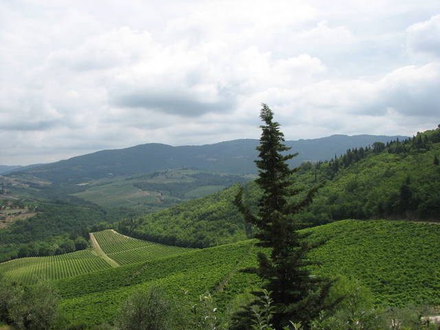 Chianti