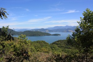 IMG_4723